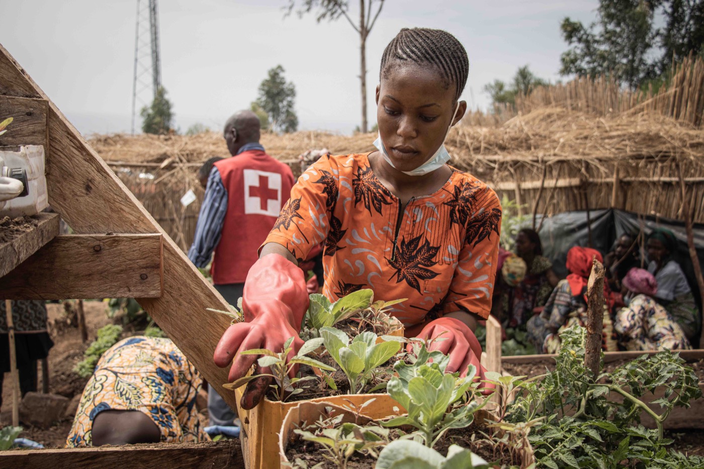 A woman tends vegetable seedlings in a community nursery, with a Red Cross volunteer working behind her.