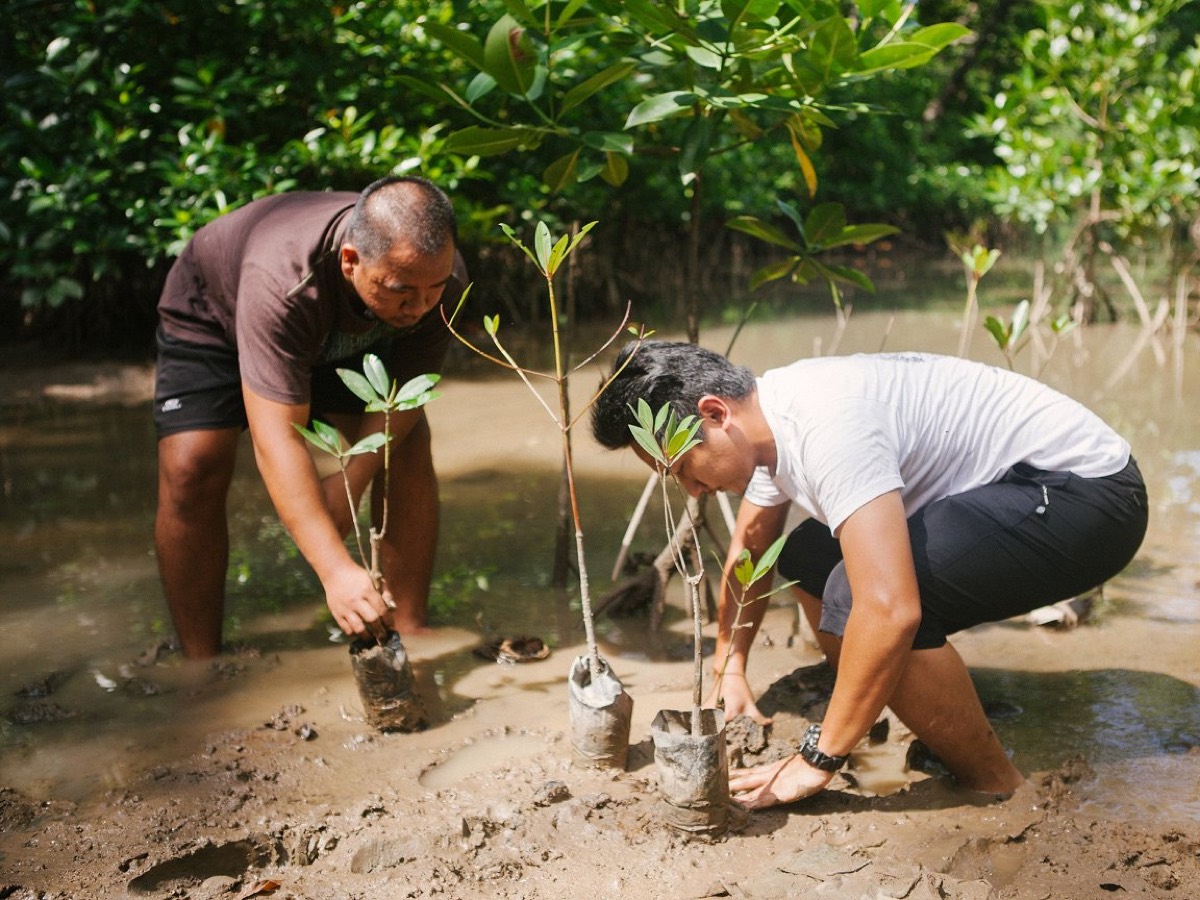 Two community members planting mangrove seedlings in a coastal wetland